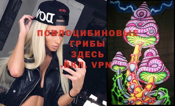 соль курить ск Алзамай