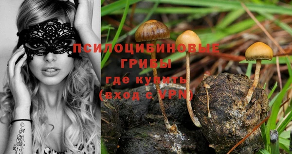 соль курить ск Алзамай
