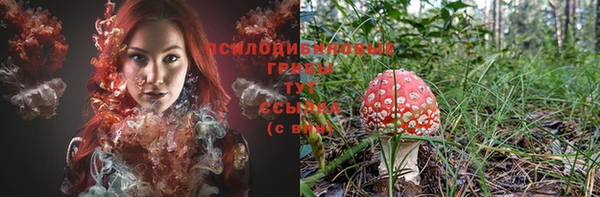 твердый Алексеевка
