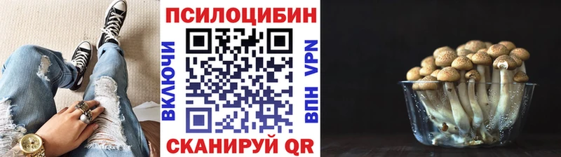 Псилоцибиновые грибы Cubensis  продажа наркотиков  Курлово 